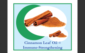 Cinnamon Leaf Extract in Oil Pulling