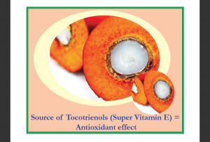 Source of Tocotrienols (Super Vitamin E) in Oil Pulling